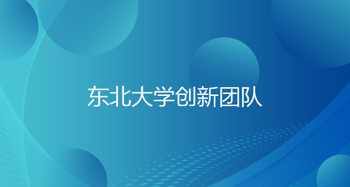 东北大学2024年学生创新团队年度考核