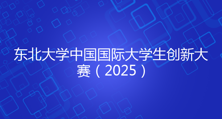 东北大学中国国际大学生创新大赛（2025）